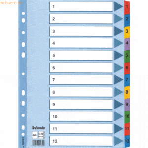 Esselte Register A4 Mylar 1-12 weiß