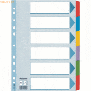 Esselte Register A4 Mylar 225x297mm 6-teilig blanko