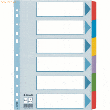Esselte Register A4 Mylar 225x297mm 6-teilig blanko