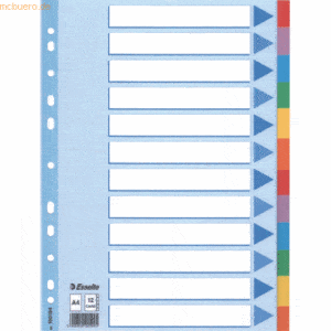 Esselte Register A4 160g/qm Karton 12-teilig