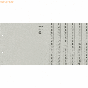 Leitz Registerserie A4 1/2 Höhe Tauenpapier A-Z 6 Abläufe grau