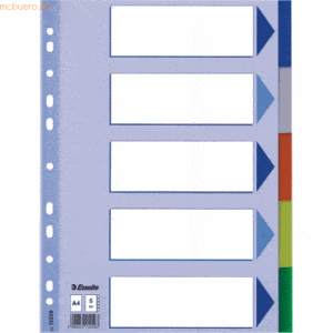 Esselte Register A4 5-teilig blanko farbig