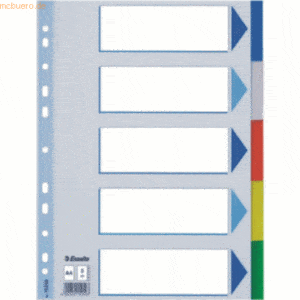 Esselte Register A4 6-teilig blanko farbig
