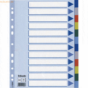 Esselte Register A4 farbig 12-teilig blanko