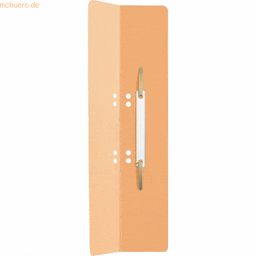 25 x Leitz Einhängeheftrücken Karton 60x305mm chamois