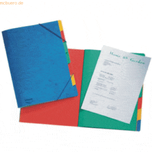 10 x Esselte Ordnungsmappe A4 7 Fächer Chartreuse-Karton 390g/qm blau