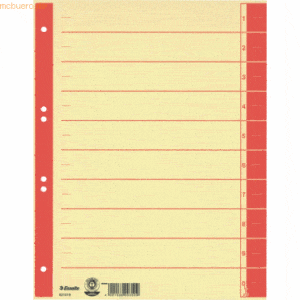 100 x Esselte Trennblätter A4 230g/qm farbig bedruckt rot