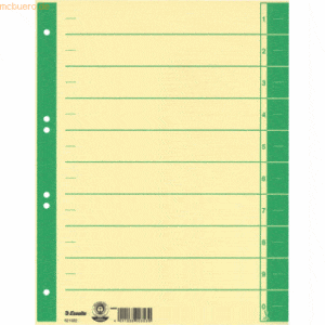 100 x Esselte Trennblätter A4 230g/qm farbig bedruckt grün
