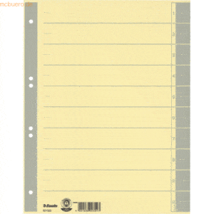 100 x Esselte Trennblätter A4 230g/qm farbig bedruckt grau