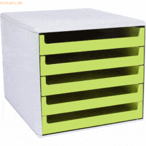 M+M Schubladenbox La Natura 5 Schübe RC-Kunststoff grau/verde