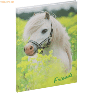 Pagna Freundebuch kleines Pony 60 Seiten