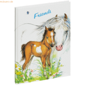 Pagna Freundebuch süßes Fohlen 15x22cm 60 Seiten