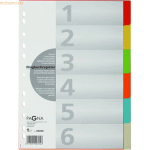 25 x Pagna Register A4 Karton 6-teilig blanko m. Deckblatt 6-farbig