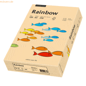 Papyrus Kopierpapier Rainbow Pastell A4 120g/qm VE=250 Blatt lachs