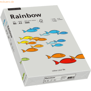 Papyrus Multifunktionspapier Rainbow A3 80 g/qm grau VE=500 Blatt