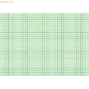 RNK Karteikarten A6 kariert 170 g/qm grün VE=100 Stück