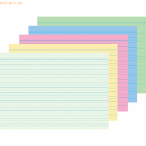 RNK Karteikarten A6 liniert sortiert VE=100 Stück