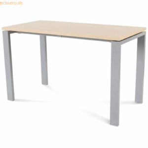 Rocada Schreibtisch Total BxTxH 120x60x73cm Gestell grau Platte Melami