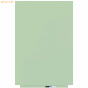Rocada Skinwhiteboard-Modul lackiert 75x115cm RAL 6019 weißgrün