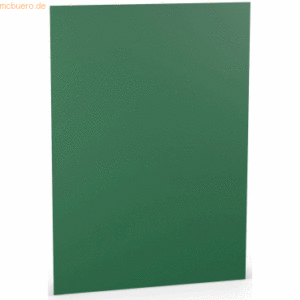 10 x Paperado Briefpapier A4 100g/qm VE=10 Blatt Tannengrün