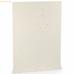 10 x Paperado Briefpapier A4 100g/qm VE=10 Blatt Terra Vanilla