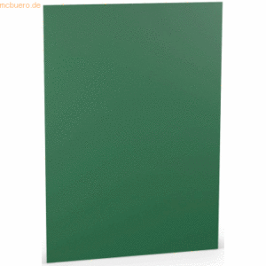10 x Paperado Karton A4 220g/qm VE=5 Blatt Tannengrün