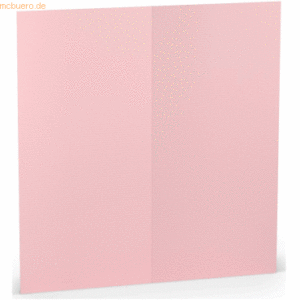 100 x Paperado Doppelkarte DL hoch Flamingo
