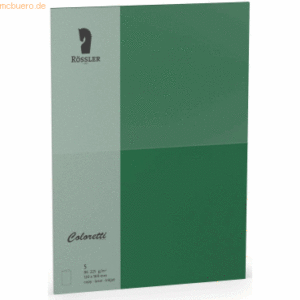 Rössler Doppelkarte Coloretti B6 hoch VE=5 Stück 225g/qm Forest