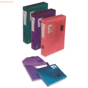 Snopake Dokumentenbox A4 25mm Kunststoff farbig sortiert