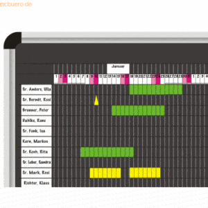 Ultradex Urlaubsplaner Set PLANRECORD Stecktafel B860xH770mm für max.