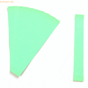 Ultradex Einsteckkarten für 15mm Einsteckschiene 60x12mm lindgrün VE=2