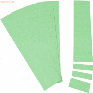 Ultradex Einsteckkarten für 15mm Einsteckschiene 70x12mm hellgrün VE=2