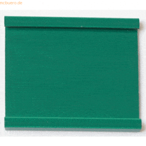 Ultradex Einsteckschiene magnetisch 40x34mm grün VE=12 Stück