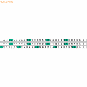 Ultradex Datumsstreifen für Schreibplaner Jahr 2021 grün