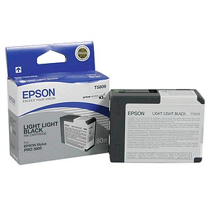 EPSON T5809 light light schwarz Tintenpatrone