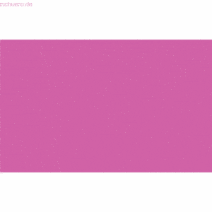 10 x Ludwig Bähr Plakatkarton 380g/qm 68x96cm pink