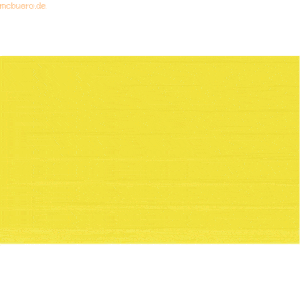 Ludwig Bähr Bastel-Stegplatten 23x33cm VE=10 Platten citronengelb