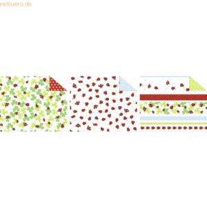 Ludwig Bähr Fotokarton Glückskäfer 300g/qm 49