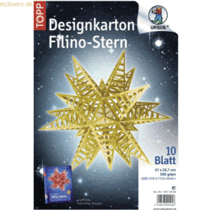Ludwig Bähr Designkarton Filino-Stern Starlight 200g/qm 21x29