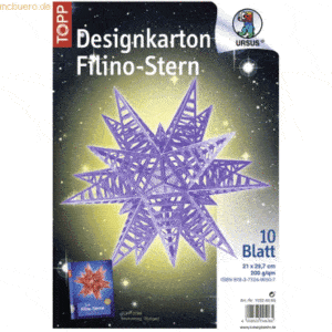 Ludwig Bähr Designkarton Filino-Stern Starlight 200g/qm 21x29