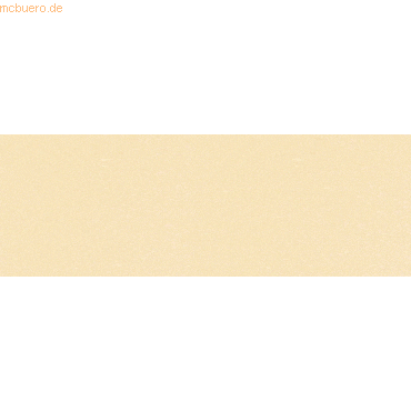 10 x Ludwig Bähr Spezialpapier Starlight 200g/qm 50x70cm VE=10 Bogen a