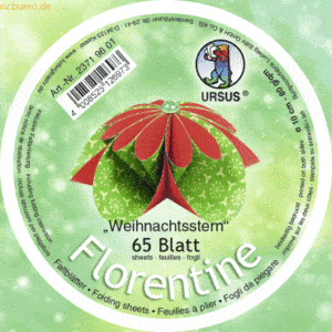 Ludwig Bähr Faltblätter Florentine Weihnachtsstern 10cm