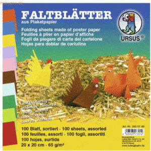 Ludwig Bähr Faltblätter Intensiv 20x20cm VE=100 Blatt 10 Farben sortie