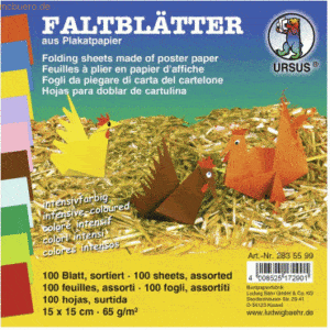 Ludwig Bähr Faltblätter Intensiv 15x15cm VE=100 Blatt 10 Farben sortie