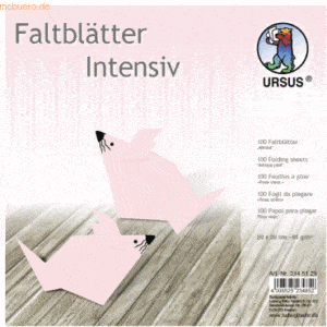 Ludwig Bähr Faltblätter Intensiv Uni 20x20cm VE=100 Blatt altrosa