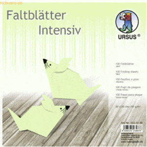 Ludwig Bähr Faltblätter Intensiv Uni 20x20cm VE=100 Blatt mint