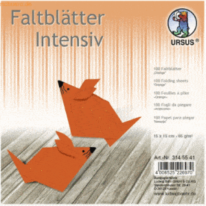 Ludwig Bähr Faltblätter Intensiv Uni 15x15cm VE=100 Blatt orange