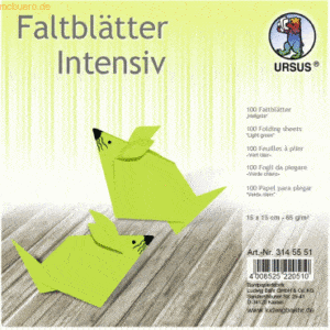 Ludwig Bähr Faltblätter Intensiv Uni 15x15cm VE=100 Blatt hellgrün