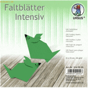 Ludwig Bähr Faltblätter Intensiv Uni 15x15cm VE=100 Blatt dunkelgrün