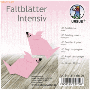 Ludwig Bähr Faltblätter Intensiv Uni 10x10cm VE=100 Blatt rosa